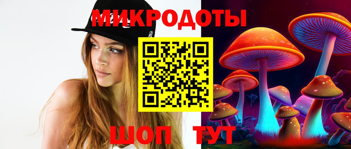 Галлюциногенные грибы Psilocybe Копейск