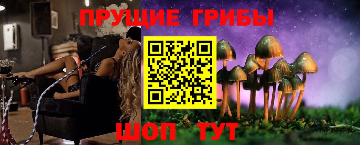 Копейск  Псилоцибиновые грибы GOLDEN TEACHER  магазин  наркотиков  Псилоцибиновые грибы мицелий  Вход с VPN 